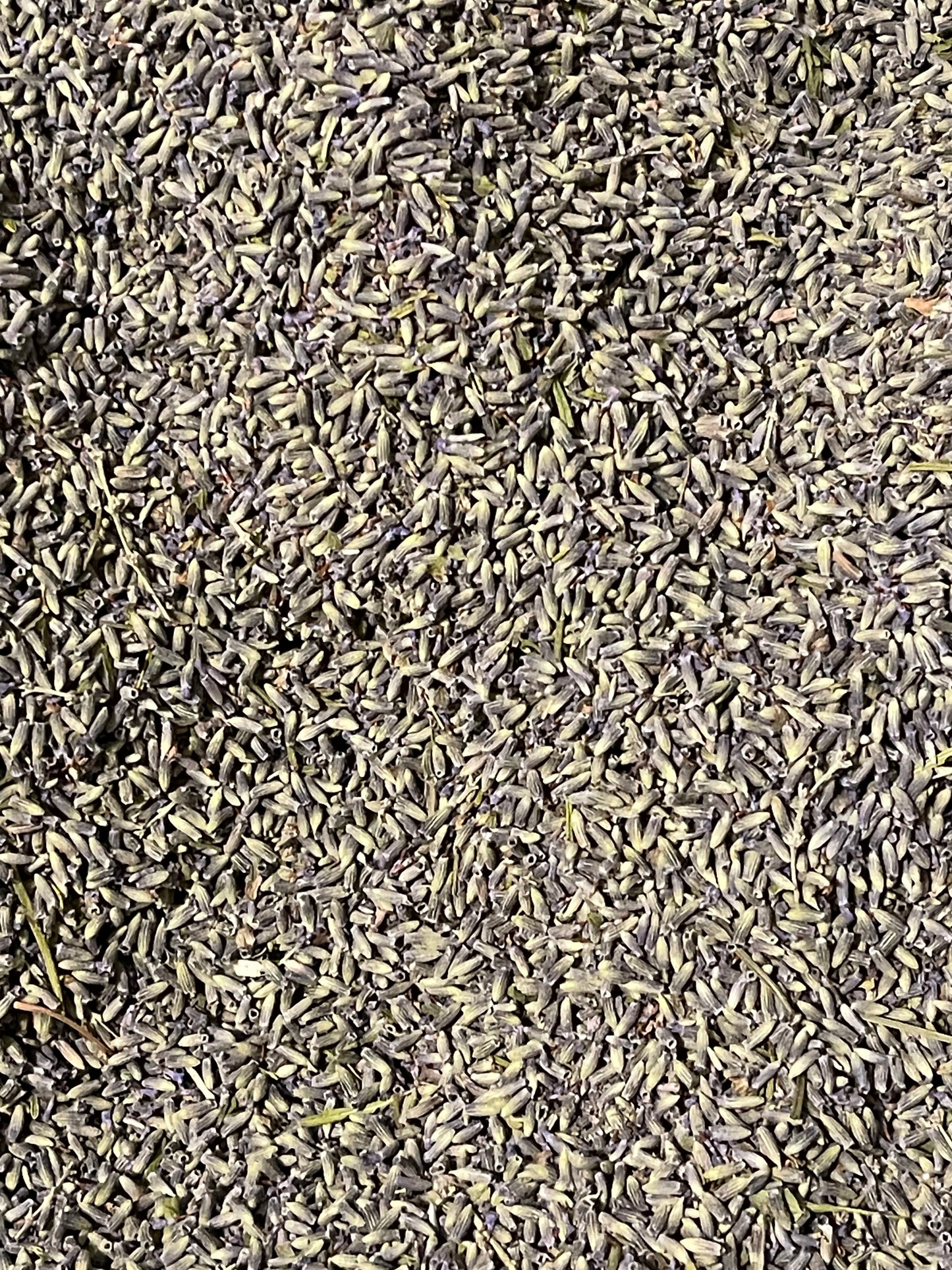 1 oz. Grosso Lavender Heads