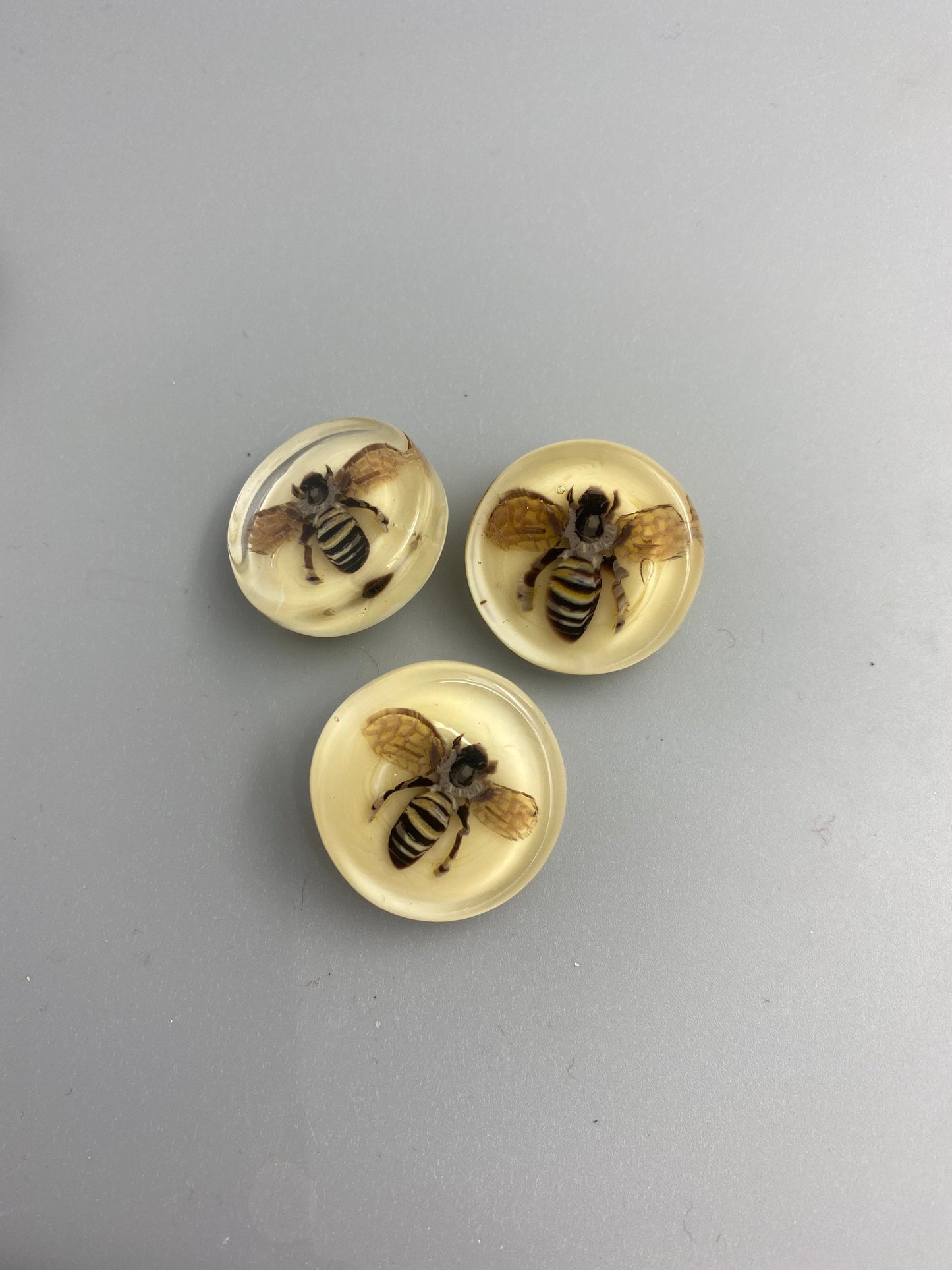 Bee Button 1"