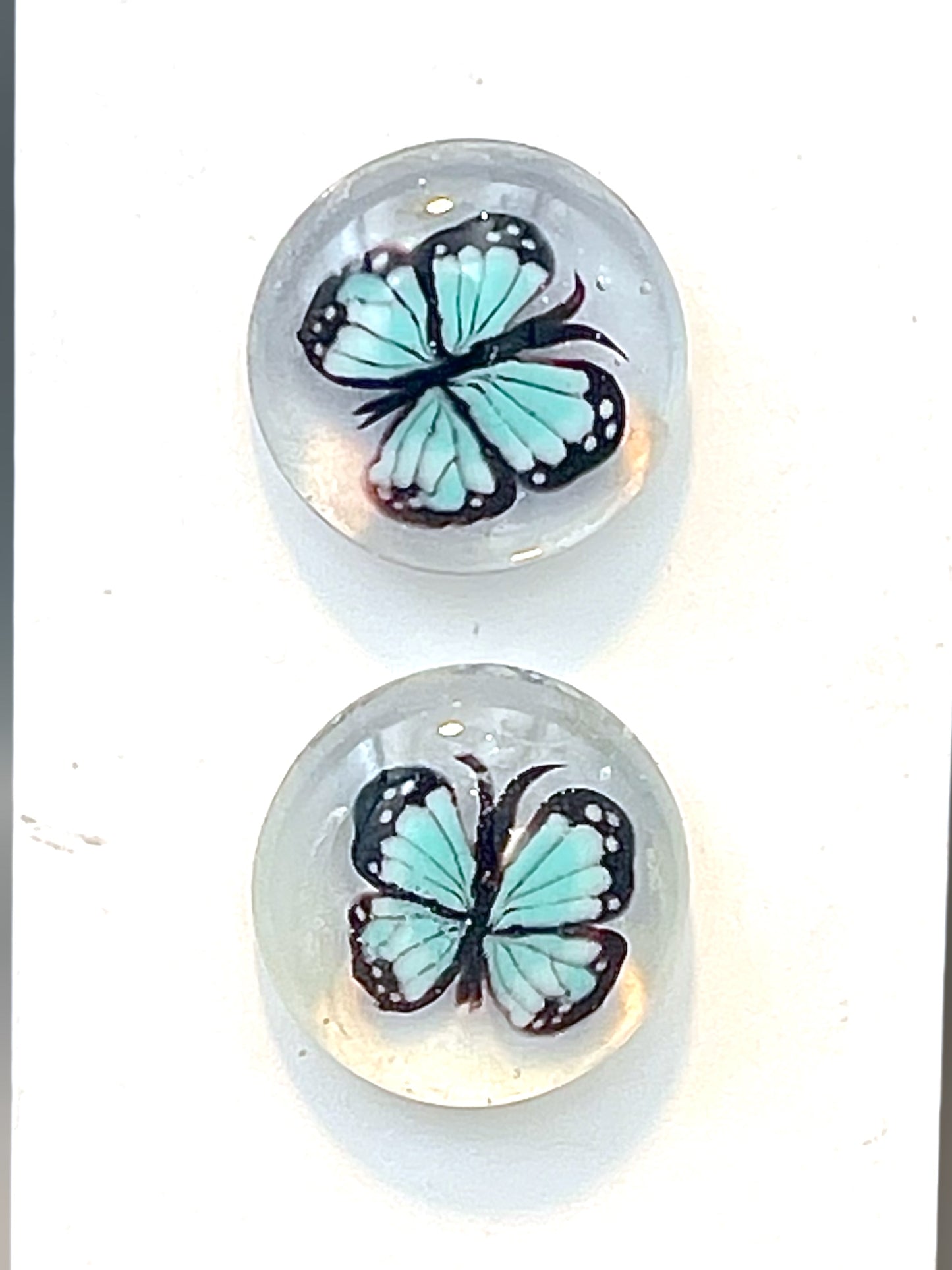 Blue Morpho 20mm