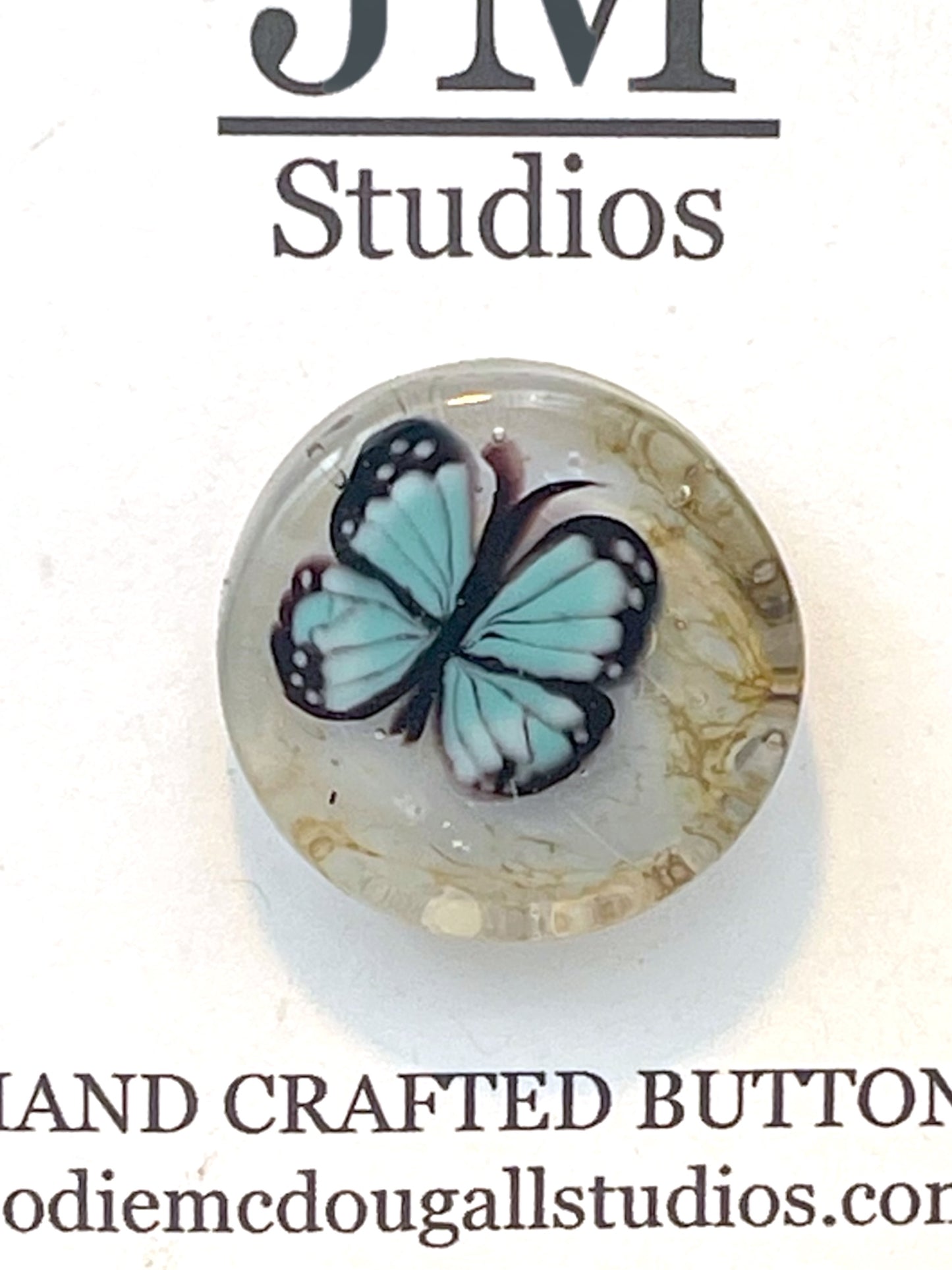 Blue Morpho 1”