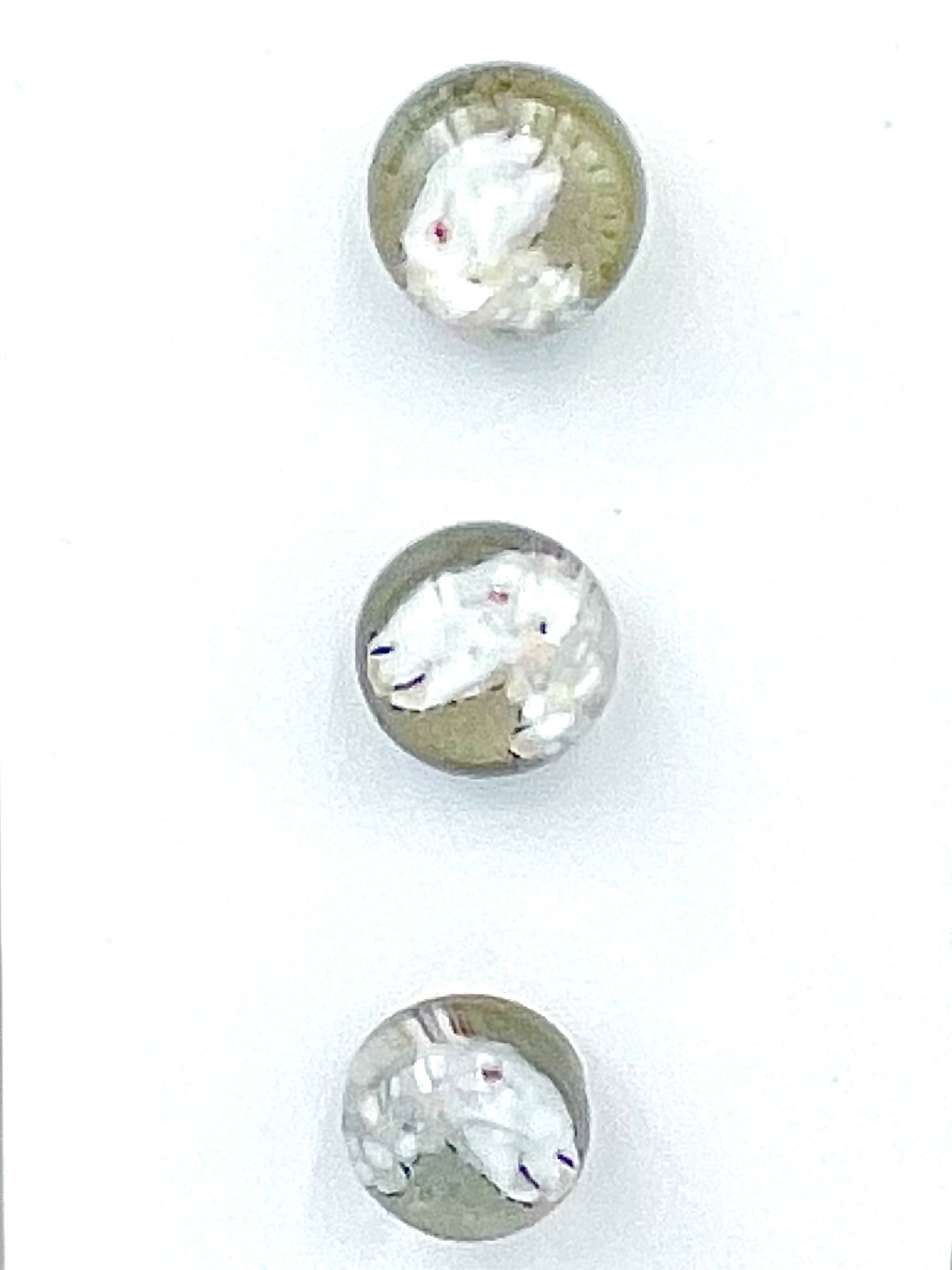 Sheep Cameo Buttons  15mm