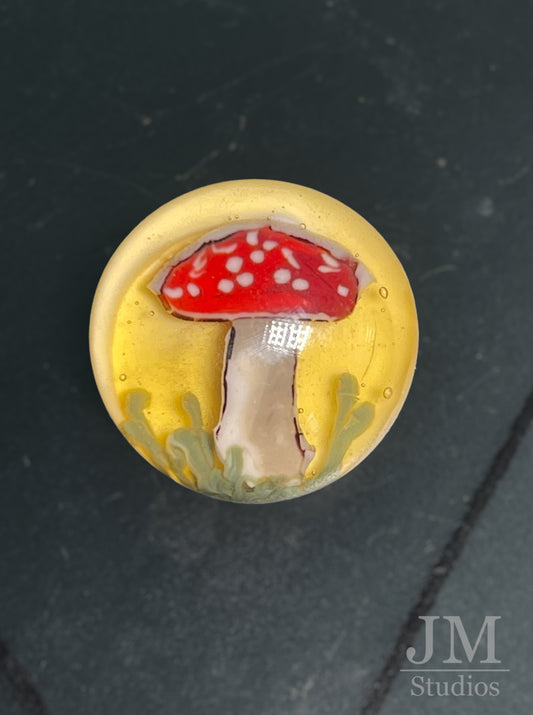 Mushroom Button 20mm