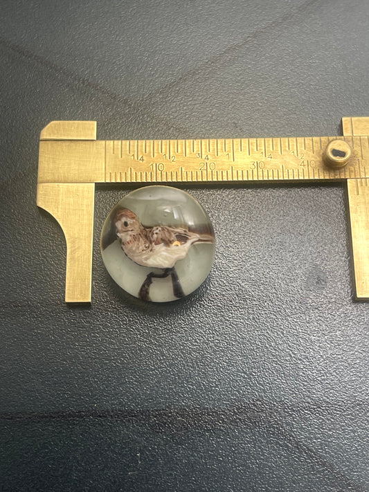 Sandpiper Button 25mm