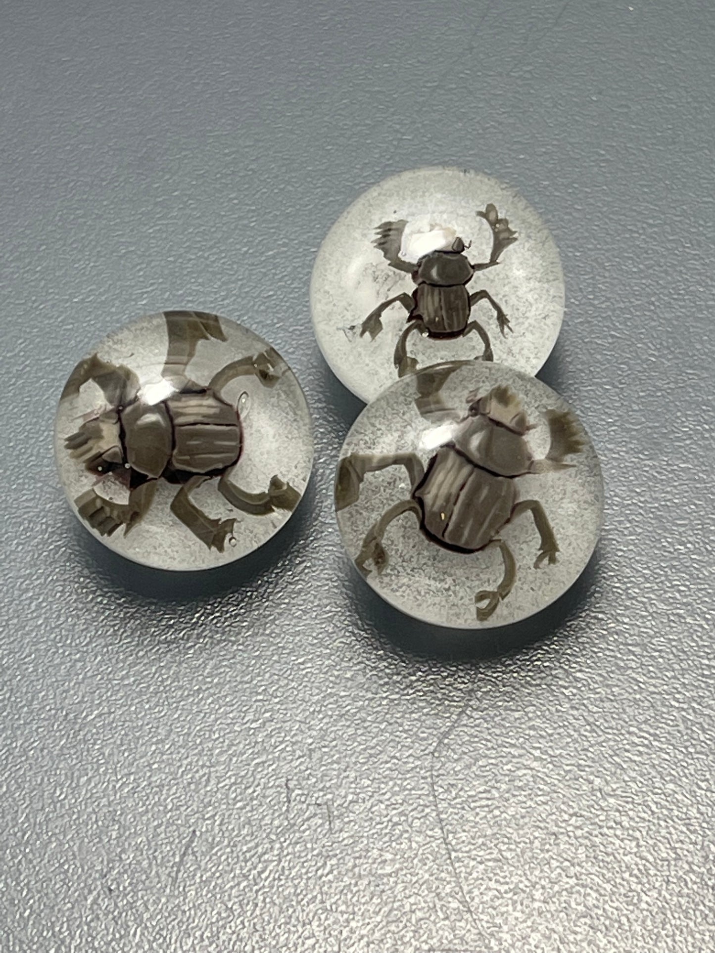Scarab Beatle Button 20mm (glows in the dark.)