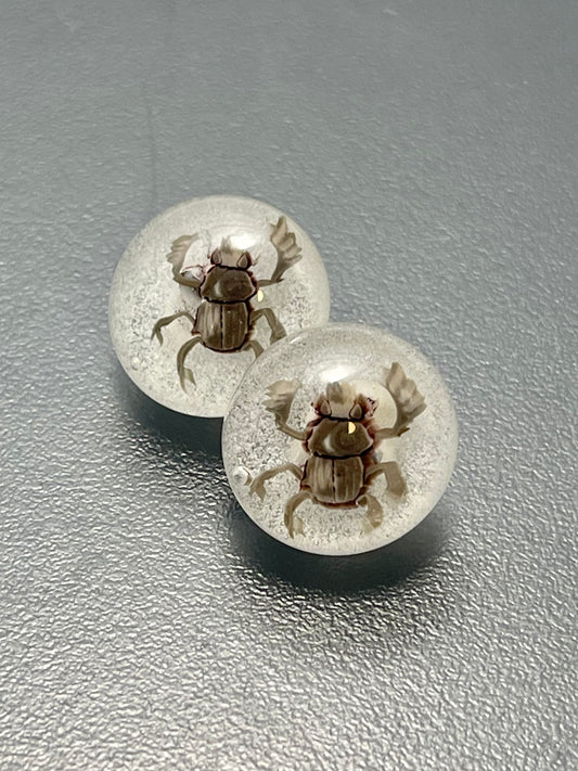 Scarab Beatle Button 14mm (glows in the dark.)